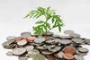 financial wellbeing strategies