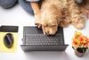 pet benefits