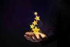 recognition-shutterstock_1995106043