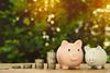living pension initiative