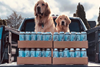 brewdogs_1280x@2x