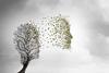 bereavement