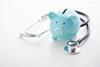 Piggy-bank-stethoscope-shutterstock_1582981243-everydayplus