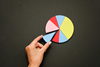employee-ownership-pie-chart