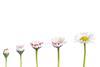 Generations---New-Africa---shutterstock_2330047577