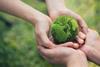 green benefits strategy