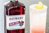 Haymans-Group-distillers-2015