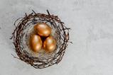 Pensions-nest-egg-shutterstock_1329997403-elina.nova_