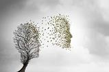 bereavement