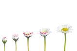 Generations---New-Africa---shutterstock_2330047577