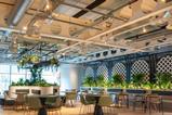 Deloitte-offices-Nick-Martindale