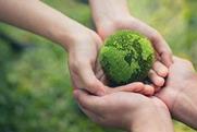 green benefits strategy