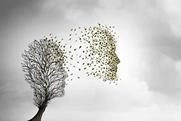 bereavement