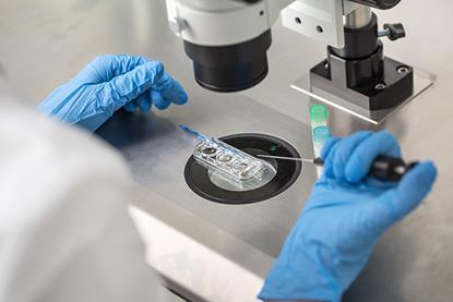 Fertility-shutterstock_626843126-bezikus