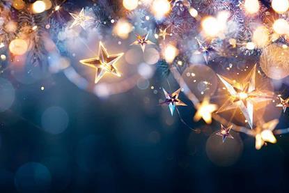 Festive-lights-Romolo-Tavani-shutterstock_2218033425