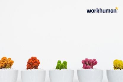 MicrosoftTeams-image