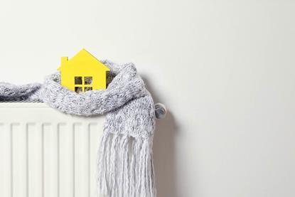 Home-heating-New-Africa-shutterstock_1517216711