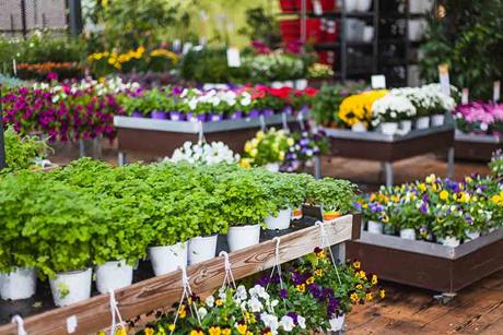 garden-centre-shutterstock_1951311088