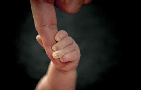 newfathers