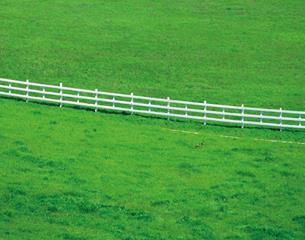Grass greener
