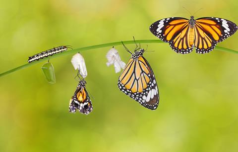 iStock 543844956 pensions change butterflies