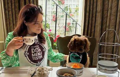 DesignMyNight dog menu tester