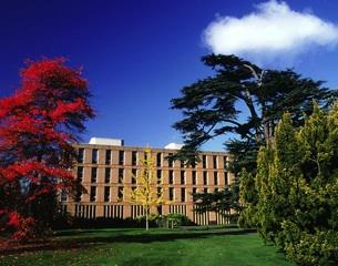 U of Reading