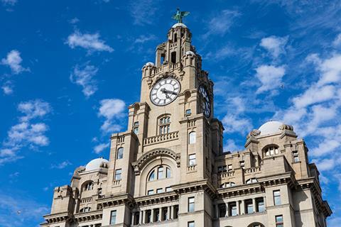 Liver building