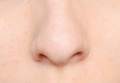 human nose iStock/RusN