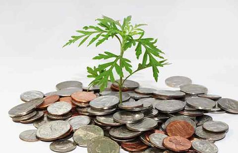 financial wellbeing strategies