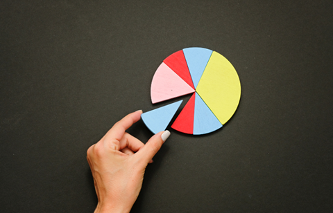 employee ownership pie chart