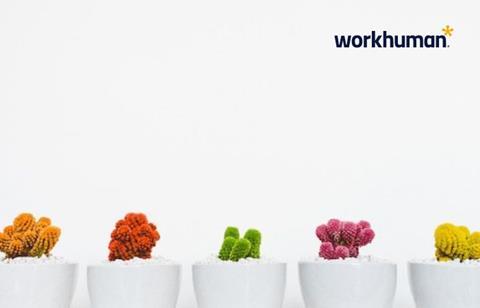 MicrosoftTeams image