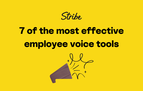 Employee voice tools