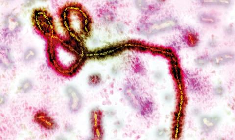 Ebola