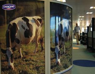 Danone-Office-2013