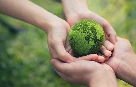 green benefits strategy