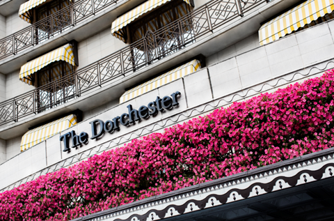 The Dorchester