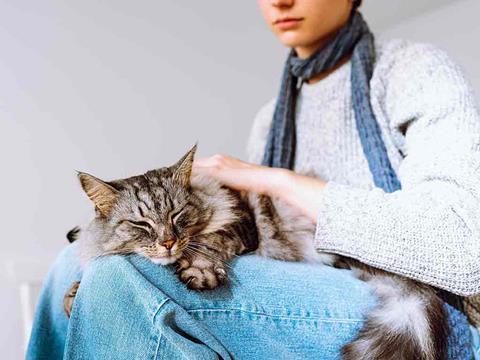 a person with a car on their lap